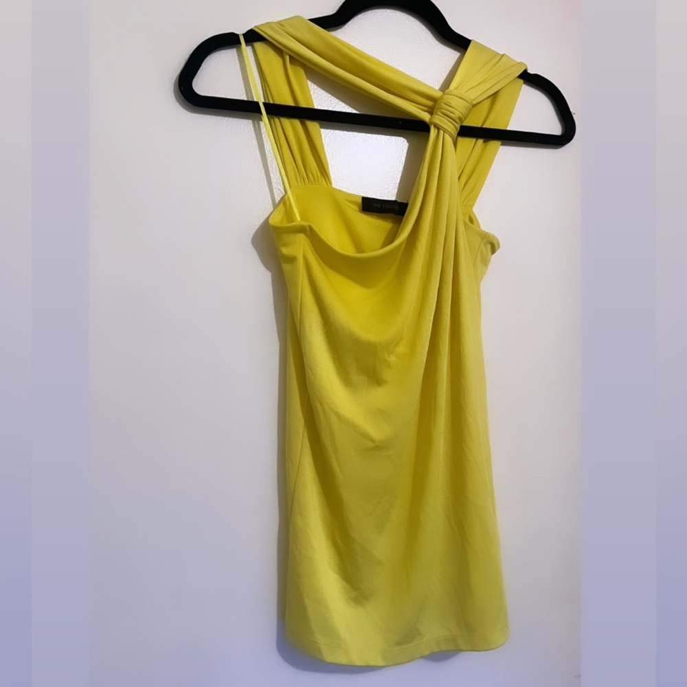 The Limited Top